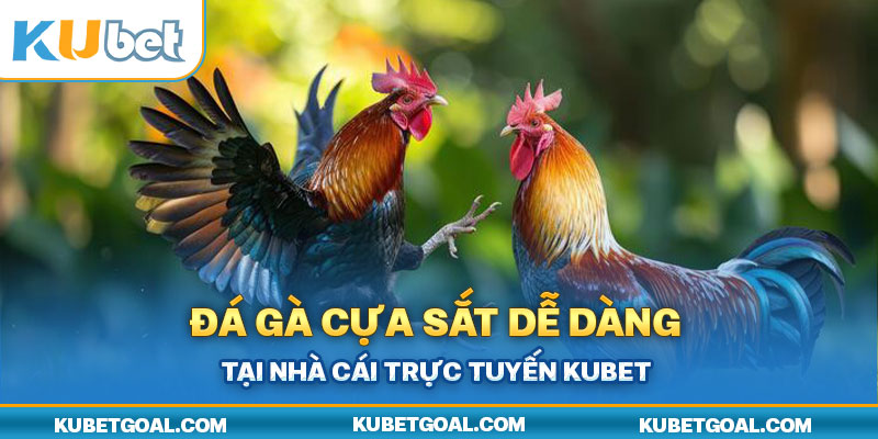 đá gà cựa sắt