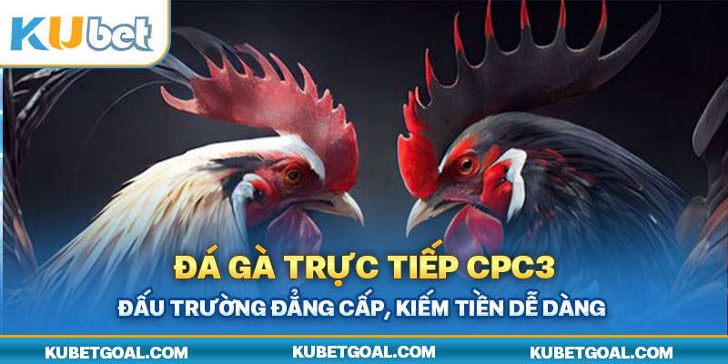 đá gà trực tiếp cpc3