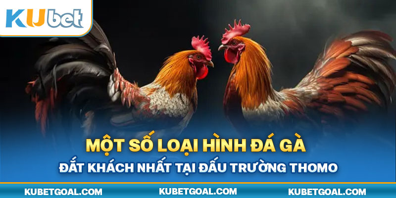 Một số loại hình đá gà đắt khách nhất tại đấu trường Thomo