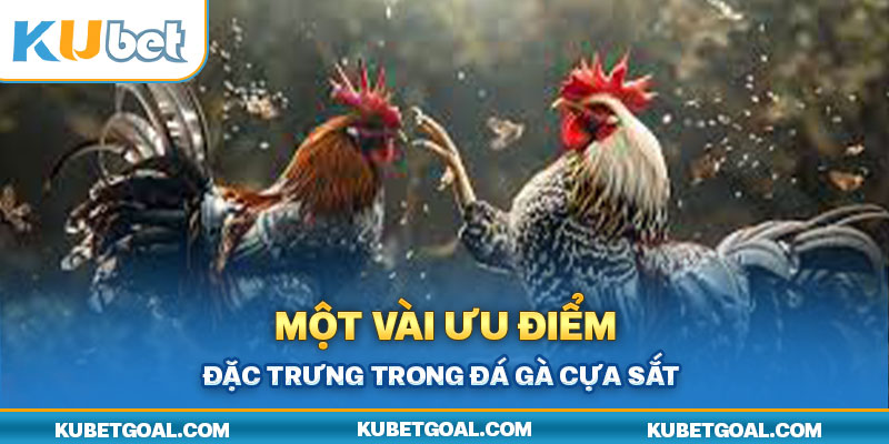 Một vài ưu điểm đặc trưng trong đá gà cựa sắt