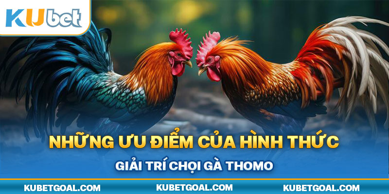 Những ưu điểm của hình thức giải trí chọi gà Thomo