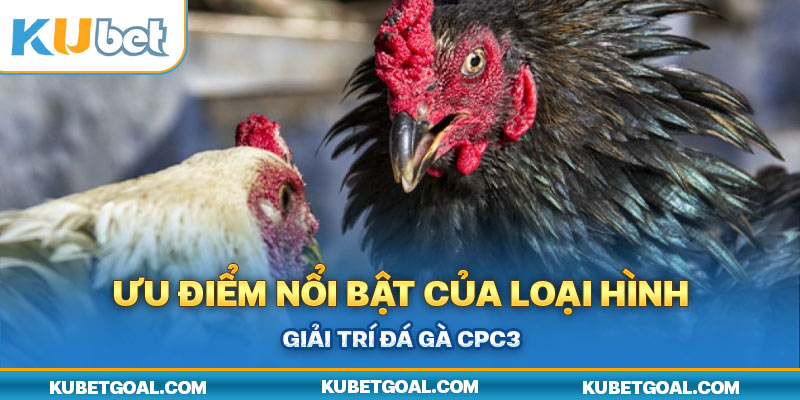 Ưu điểm nổi bật của loại hình giải trí đá gà CPC3